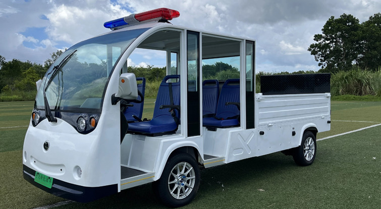 雙排物流巡邏車